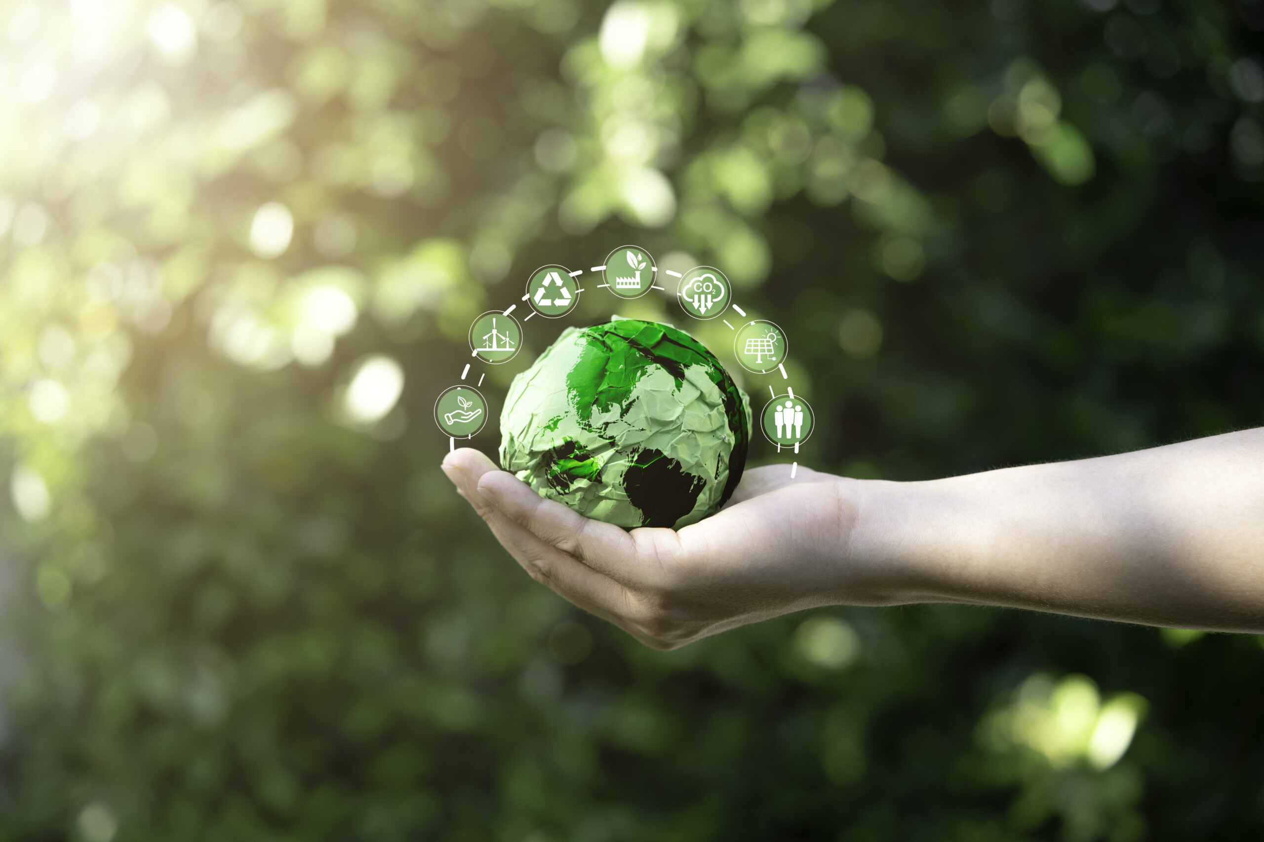 Turning sustainability into savings